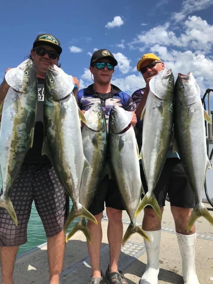 Three anglers displaying a catch of large kingfish